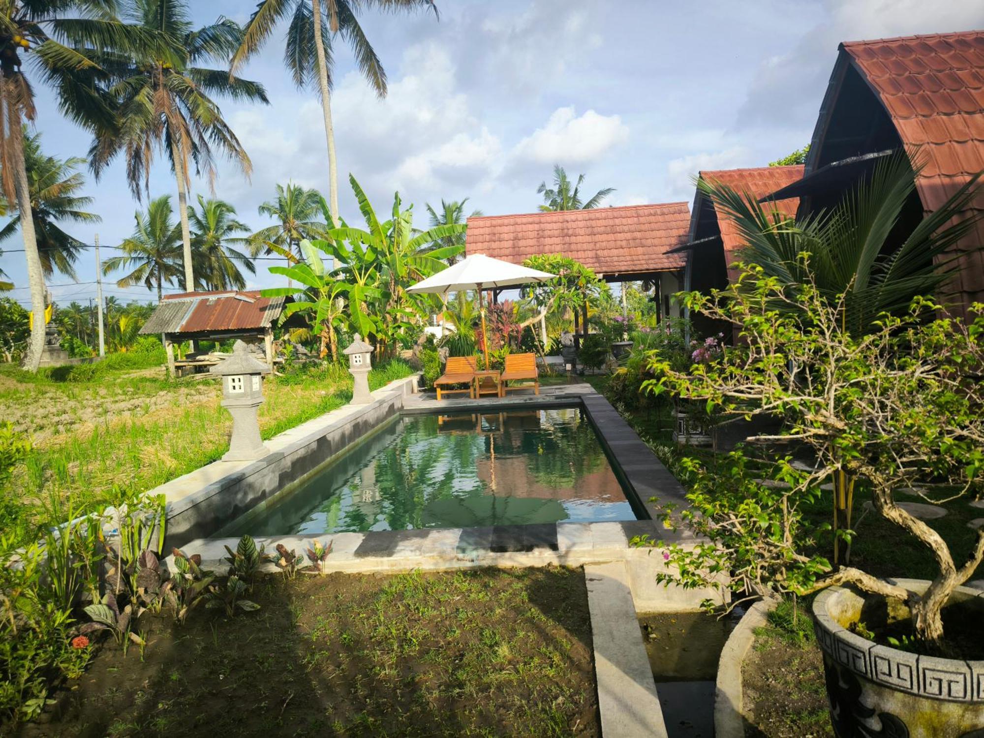 Eling Ubud Guesthouse Esterno foto